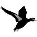 Black Duck Seat Covers logo